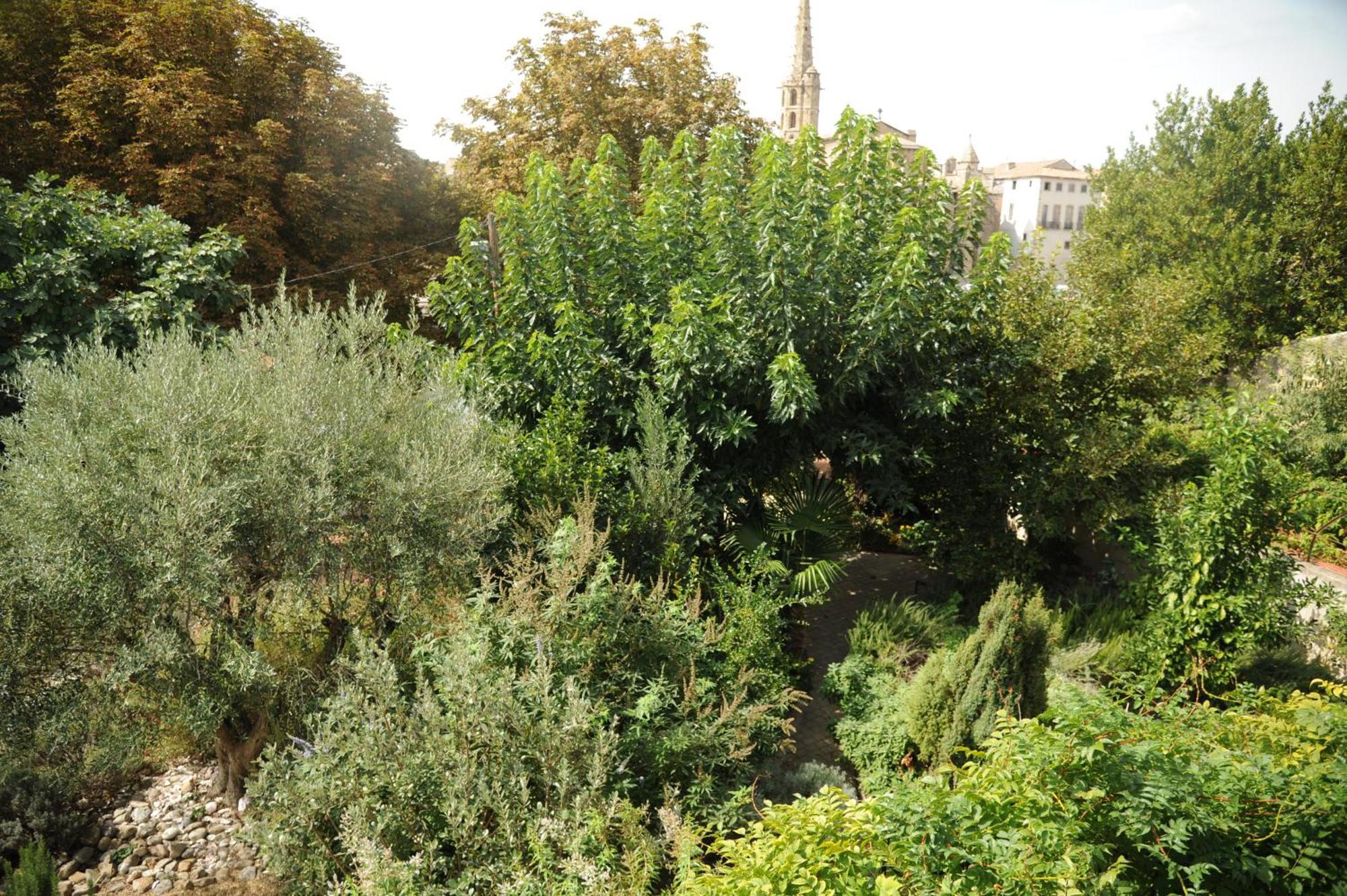 Limoux Riverside Gardens Vila Exterior foto