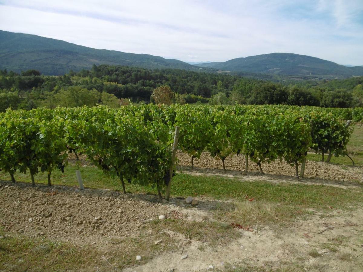 Limoux Riverside Gardens Vila Exterior foto